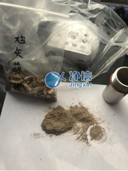 多樣品組織研磨儀進(jìn)行雞矢藤實(shí)驗(yàn)研磨前